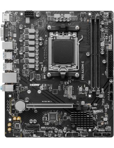 MSI PRO A620M-E