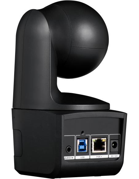AVer DL10 Webcam para Videoconferencia FullHD Negra