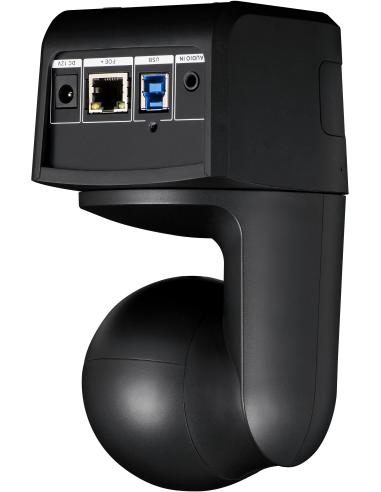 AVer DL10 Webcam para Videoconferencia FullHD Negra