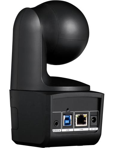 AVer DL10 Webcam para Videoconferencia FullHD Negra