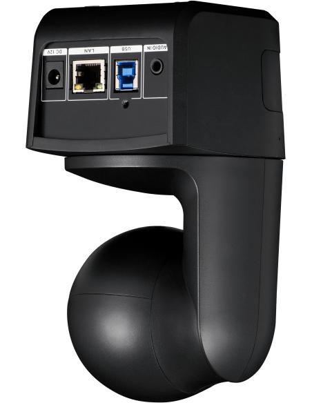 AVer DL10 Webcam para Videoconferencia FullHD Negra