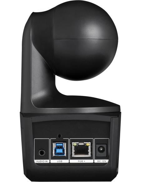 AVer DL10 Webcam para Videoconferencia FullHD Negra