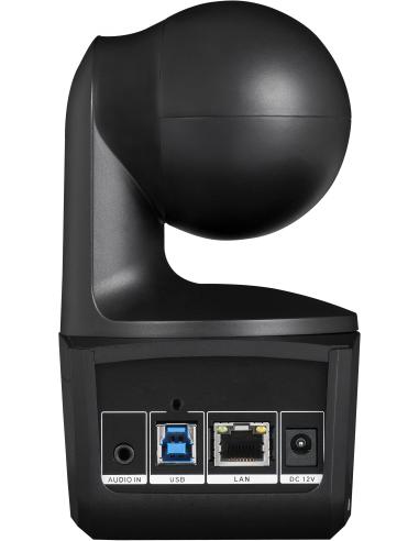 AVer DL10 Webcam para Videoconferencia FullHD Negra