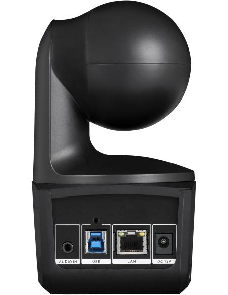 AVer DL10 Webcam para Videoconferencia FullHD Negra