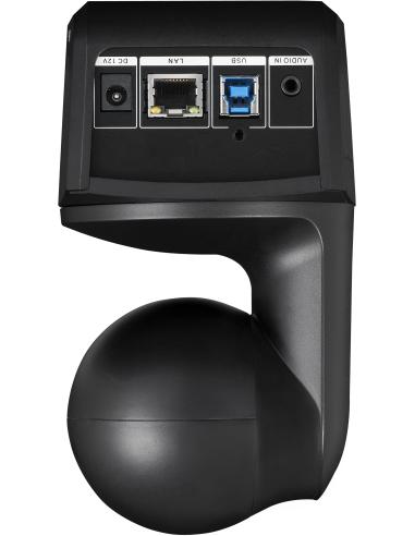 AVer DL10 Webcam para Videoconferencia FullHD Negra