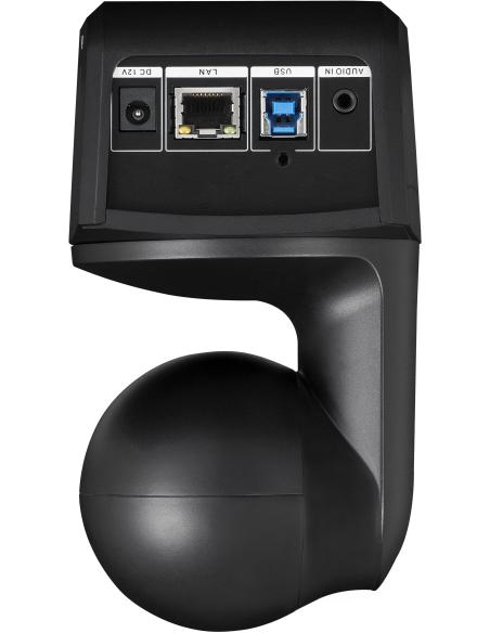 AVer DL10 Webcam para Videoconferencia FullHD Negra