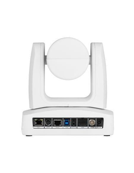 AVer PTZ211 Cámara para Videoconferencia FullHD