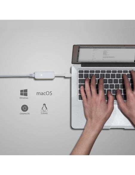 TP-Link UE300 Adaptador USB-A a RJ-45 Ethernet Gigabit Blanco