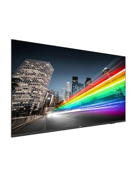 Philips B-Line 55BFL2214/12 55" UHD 4K Negro