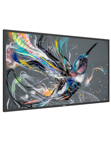 Philips Q-Line 43BDL3511Q/00 43" DLED IPS UHD 4K Negro