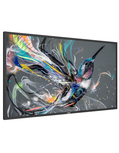 Philips Q-Line 43BDL3511Q/00 43" DLED IPS UHD 4K Negro