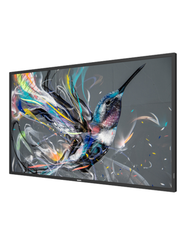 Philips Q-Line 43BDL3511Q/00 43" DLED IPS UHD 4K Negro