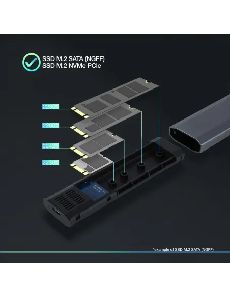 TooQ TQE-2223G Caja Externa M.2 PCIe USB-C 3.1 Gris