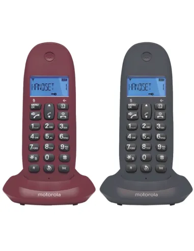 MOTOROLA C1002 LB+ Telefono DECT DUO Gris-Granate