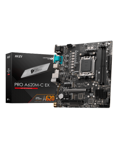 MSI PRO A620M-C EX