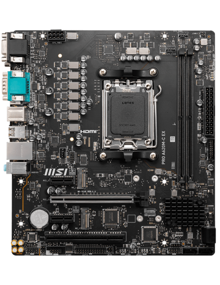 MSI PRO A620M-C EX