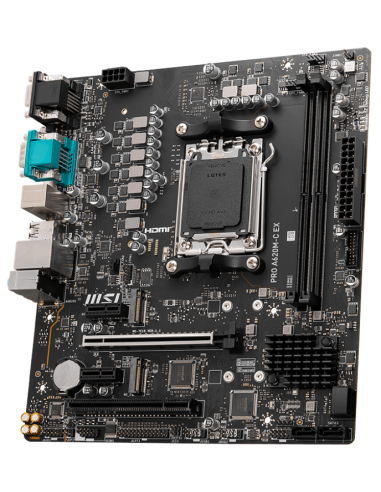 MSI PRO A620M-C EX