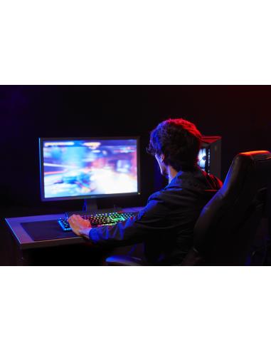 Kingston FURY Beast DDR5 5600MHz 64 GB (2x32GB) CL40