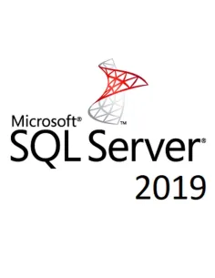 Microsoft SQL Server 2019 1 Licencia de Acceso de Cliente (CAL)
