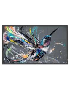 Philips Q-Line 65BDL3650Q/00 65" Pantalla Interactiva LCD 4K Ultra HD Negro-1372158