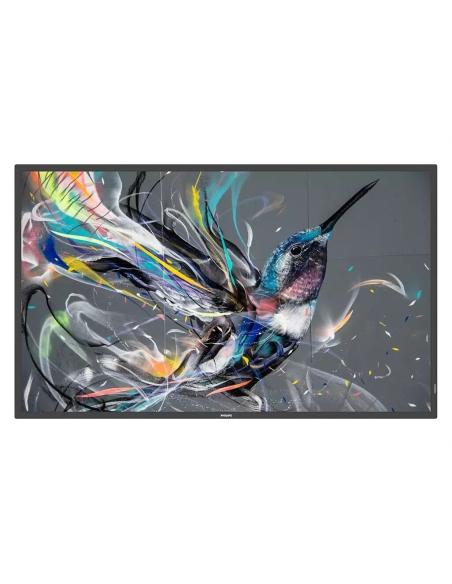 Philips Q-Line 65BDL3650Q/00 65" Pantalla Interactiva LCD 4K Ultra HD Negro