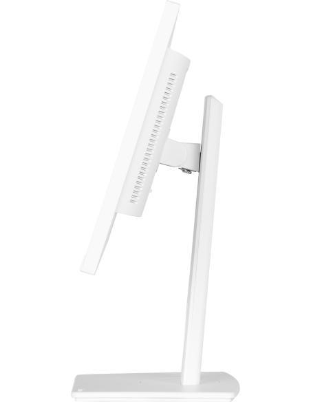 Iiyama ProLite XUB2497HSU-W2 23.8" LED IPS FullHD 100Hz