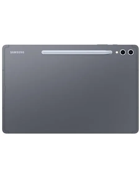 Samsung Galaxy S10 12.4" 5G 12/512GB Gris