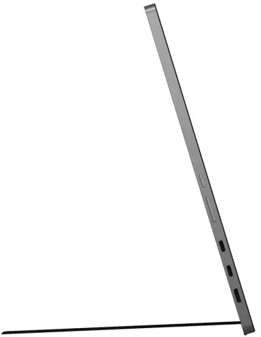 LG 17MT70 Monitor Portátil 17" LED IPS WQXGA