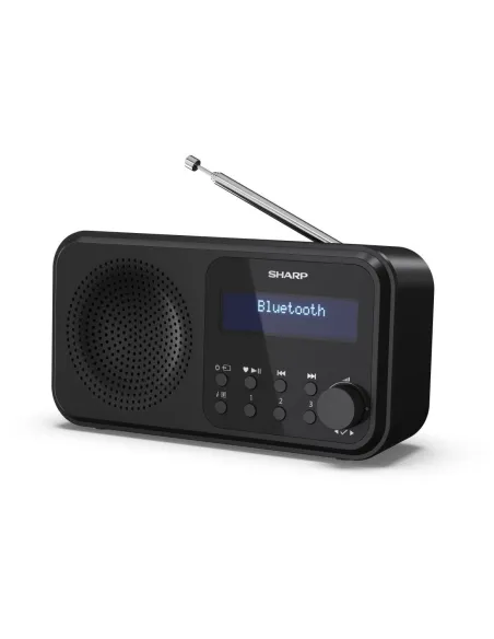 Sharp DR-P420 Radio Portátil Digital Negra