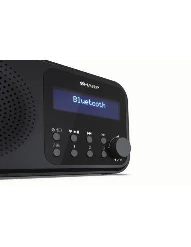 Sharp DR-P420 Radio Portátil Digital Negra