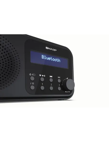 Sharp DR-P420 Radio Portátil Digital Negra
