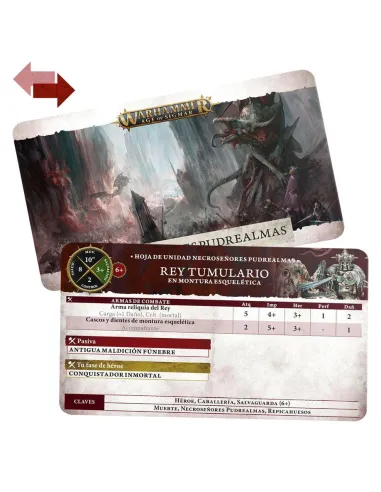 Warhammer Soulblight Gravelords: Repicahuesos Caja de Ejército (ESP)