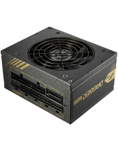 FSP DAGGER PRO 850W 80 Plus Gold Modular