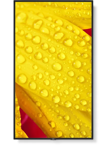 NEC MultiSync M551-2 Pantalla Interactiva 50" LED 4K Ultra HD Negro