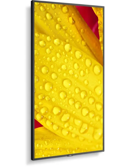 NEC MultiSync M551-2 Pantalla Interactiva 50" LED 4K Ultra HD Negro