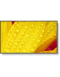 NEC MultiSync M501-2 Pantalla Interactiva 50" 4K UHD Negra-1395282