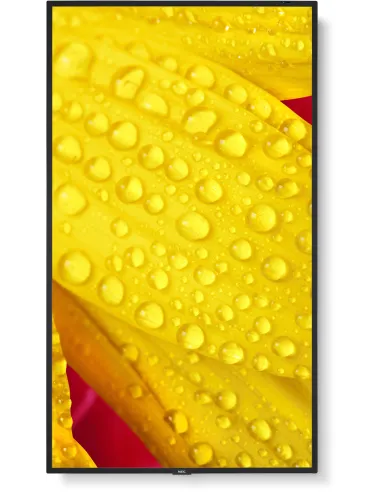 NEC MultiSync M501-2 Pantalla Interactiva 50" 4K UHD Negra