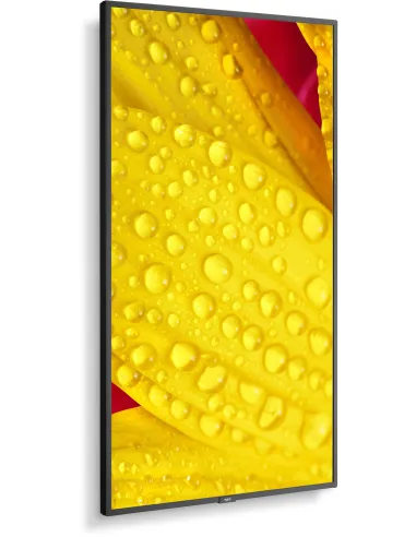 NEC MultiSync M501-2 Pantalla Interactiva 50" 4K UHD Negra