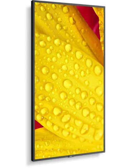 NEC MultiSync M501-2 Pantalla Interactiva 50" 4K UHD Negra