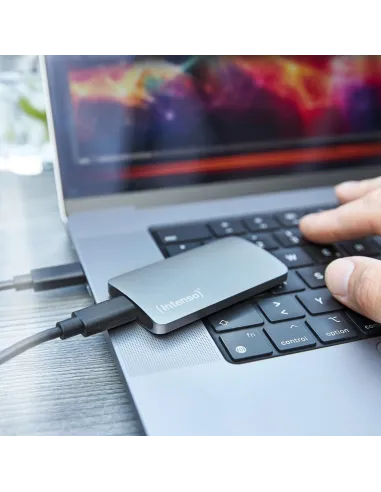 Intenso TX800 3828450 eSSD 500GB USB-C Gris
