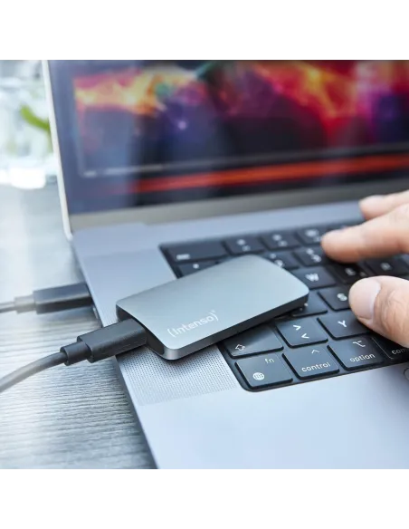 Intenso TX800 3828450 eSSD 500GB USB-C Gris