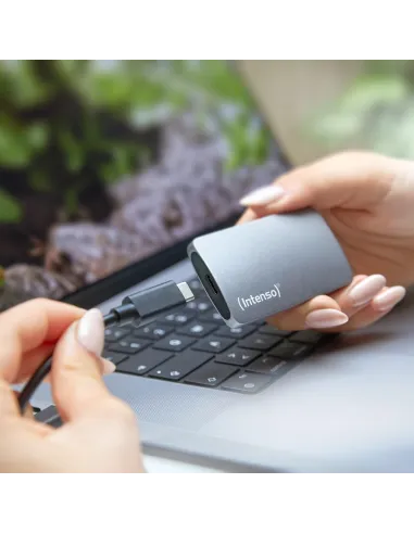 Intenso TX800 3828450 eSSD 500GB USB-C Gris