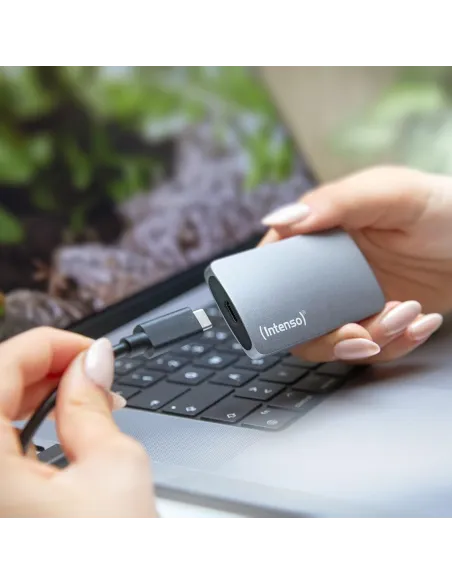 Intenso TX800 3828450 eSSD 500GB USB-C Gris