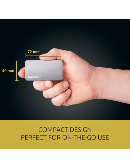 Intenso TX800 3828450 eSSD 500GB USB-C Gris