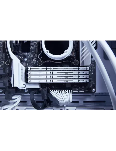 Memoria RAM Kinston Fury Beast KF560C30BWE-16