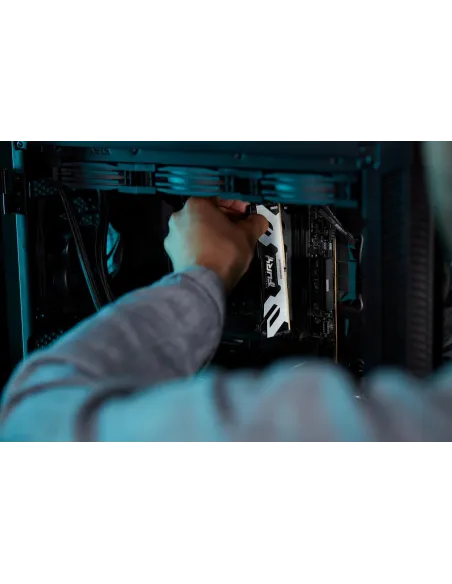 Kingston Fury Renegade KF564C32RS-48 DDR5 6400MHz 48GB CL32 Negra/Plata