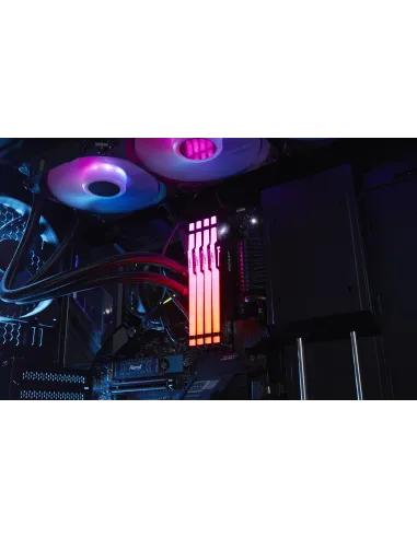 Kingston Fury Beast RGB KF560C36BBEAK2-64 DDR5 6000MHz 64GB (2x32GB) CL36 AMD EXPO Negra