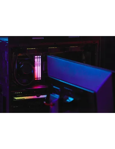 Kingston Fury Beast RGB KF560C36BBEAK2-64 DDR5 6000MHz 64GB (2x32GB) CL36 AMD EXPO Negra