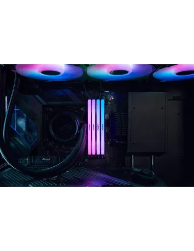 Kingston Fury Renegade RGB KF568C36RSA-16 DDR5 6800MHz 16GB CL36 Negra/Plata