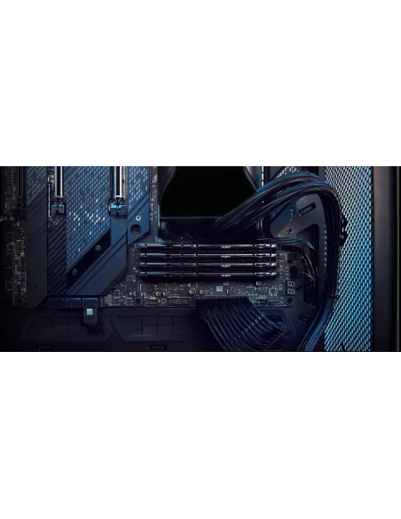 Kingston Fury Beast KF556C40BBK2-32 DDR5 5600MHz 32GB (2x16GB) CL40 Negra